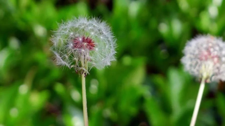 8月18日早安语录 腾讯新闻