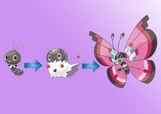 精灵宝可梦3只蝴蝶类的宝可梦1只饱受诟病最后一只最好用