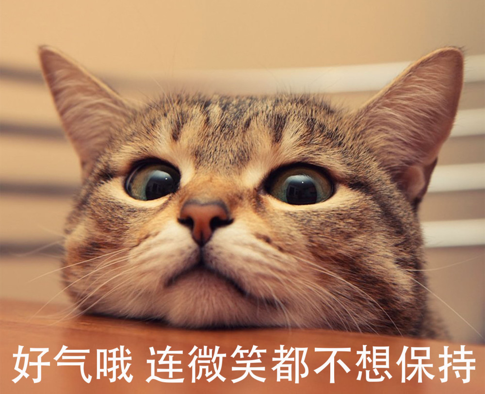 躺着不动就能消耗1500大卡?解密,这到底是