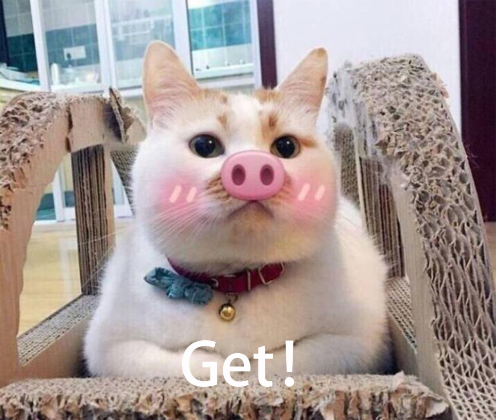 躺着不动就能消耗1500大卡?解密,这到底是