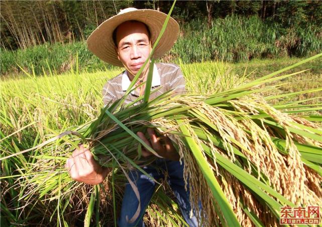 ˳������磺�Ƽ���ũ����Ʈ��