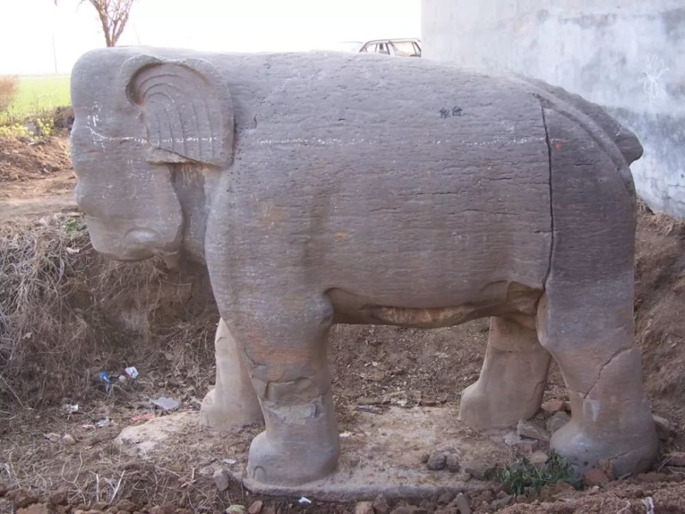 孟津这只"象"入选第八批国宝单位!