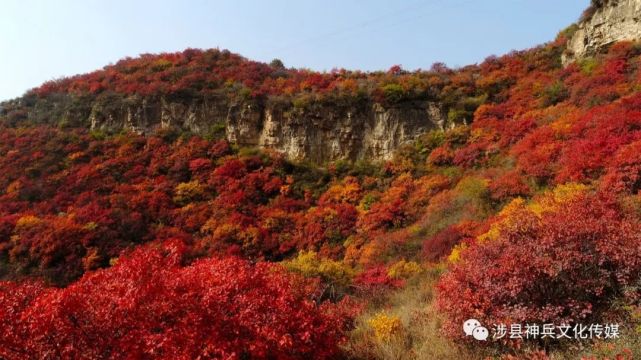 金秋賞紅葉一定要去太行紅葉大峽谷涉縣莊子嶺風景區