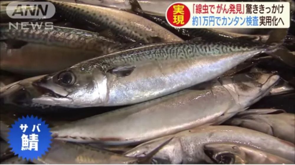 1滴尿就能检测出早期癌症 这个日本生物黑科技竟只要600元 腾讯新闻