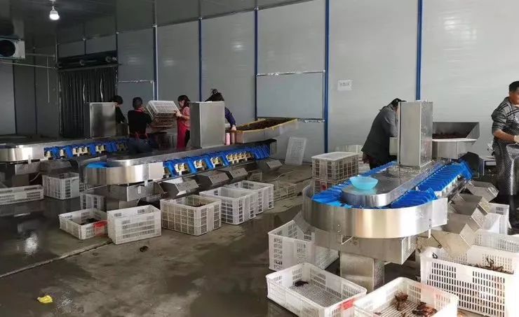 冷链车改装技术,区别于普通的冷链车,更适合小龙虾的运输