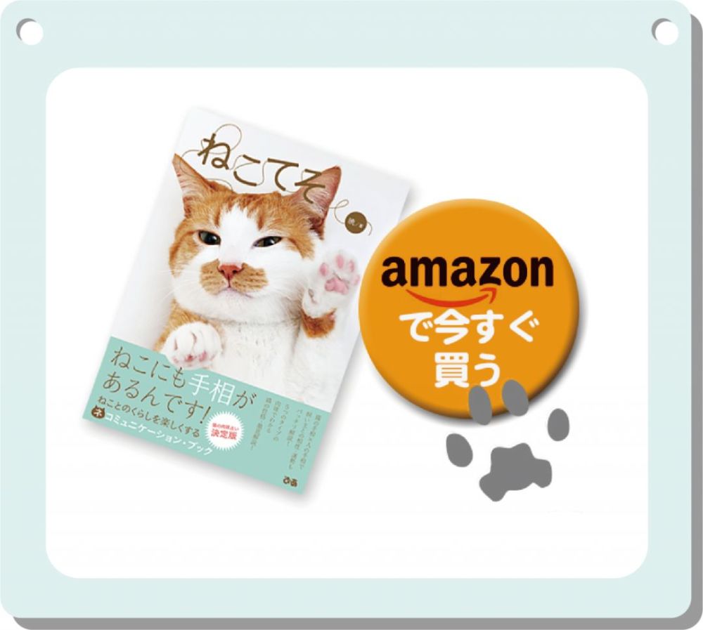 活久见 猫也能通过手相看性格 腾讯新闻