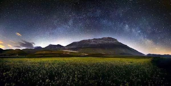 紫微斗数天巫星天月星天才星天寿星