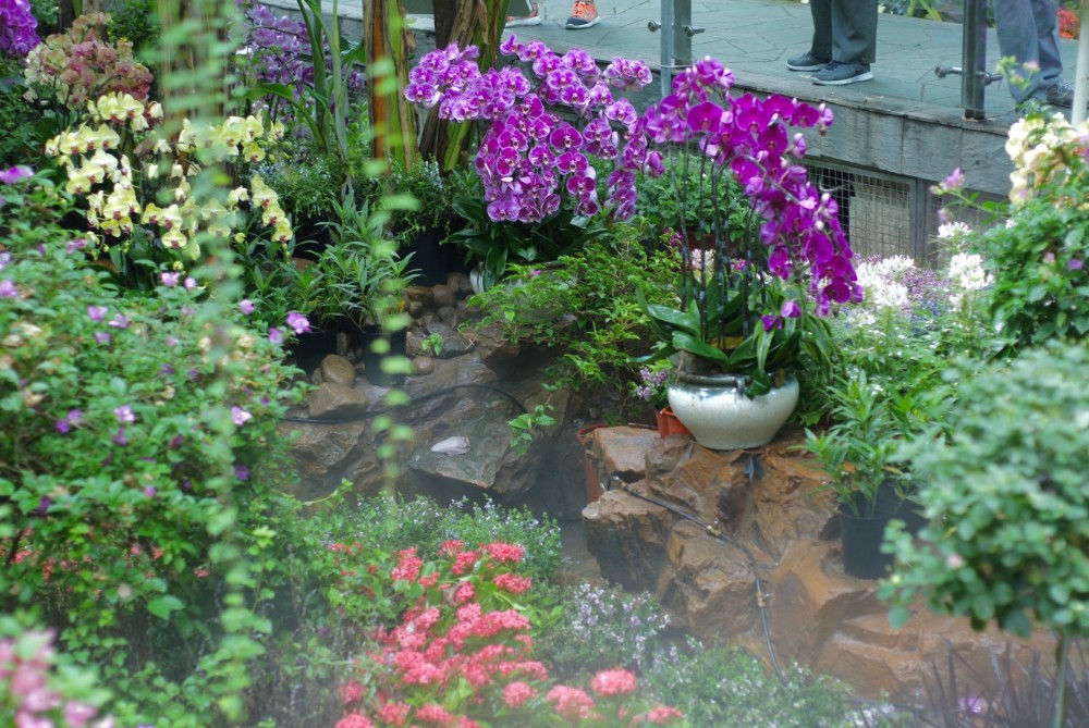 上海动物园蝴蝶展上8万只蝴蝶翩飞 展览重视科教 珍视乡土 腾讯新闻