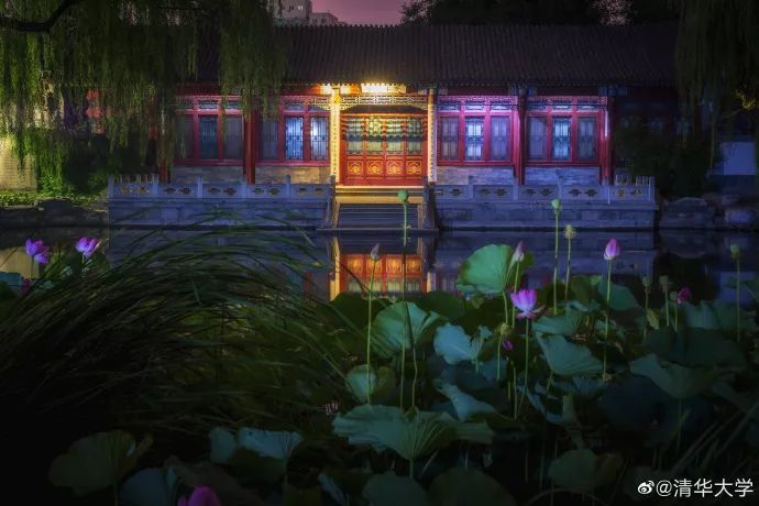 网红大学排行榜_2019中国网红大学排行榜(2)