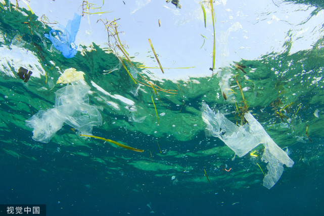 海洋污染主要污染物是什么