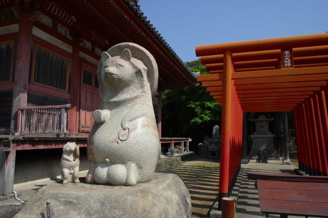 化狸在日本妖怪传说中的地位很高,传唱度很广,类似