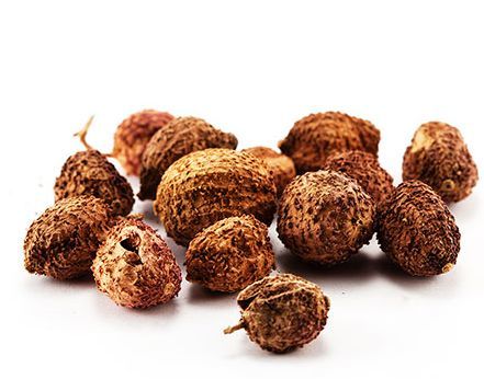 每日一味中药 砂仁 腾讯新闻