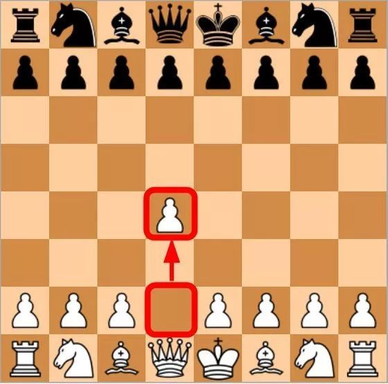 国际象棋黑马符号图片
