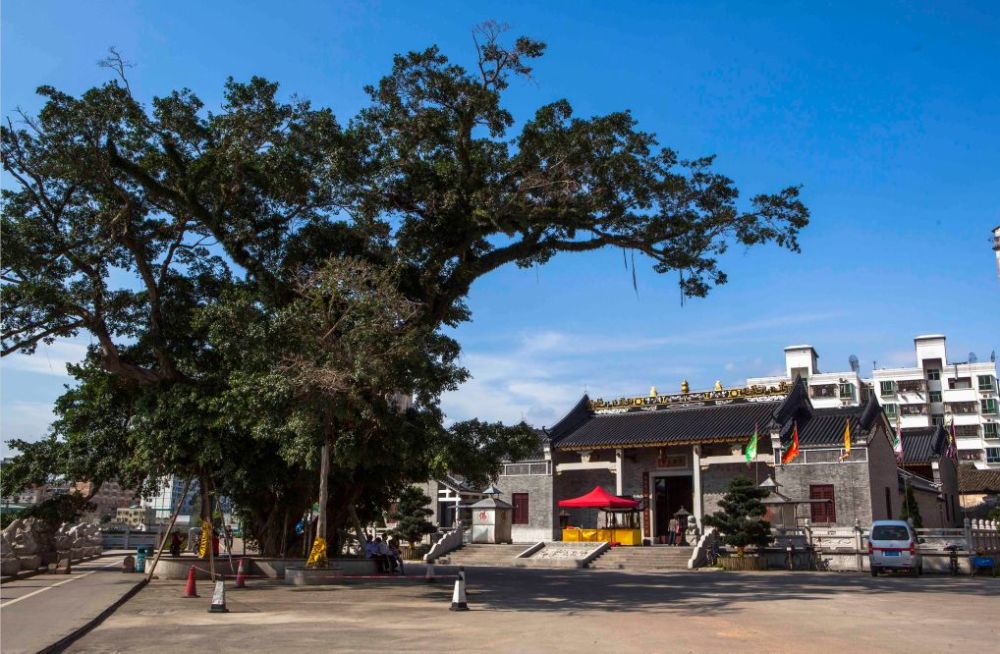 观澜古寺5如今这里是深圳历史上仅存的"四大名墟"之一,文物专家惊叹是
