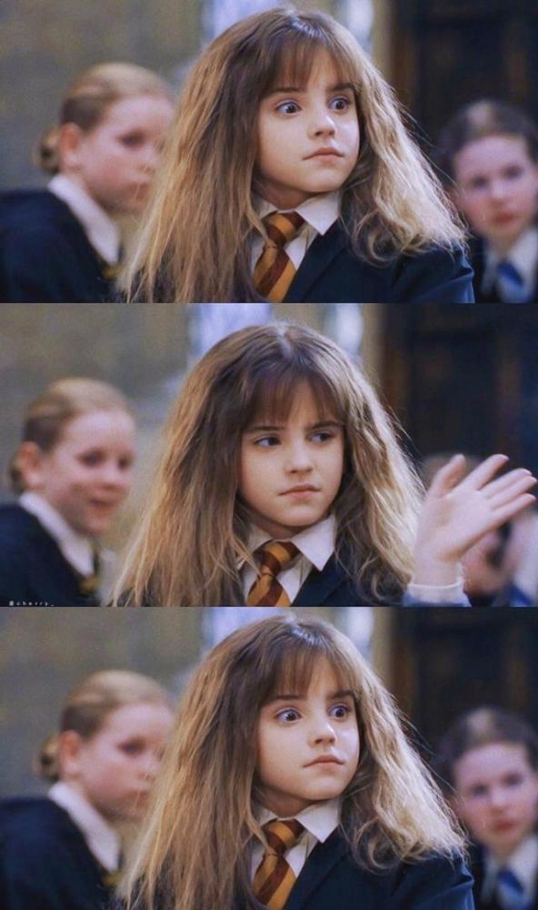 2001年哈利波特与魔法石看着他们一点点的长大,与此同时哈利波特也