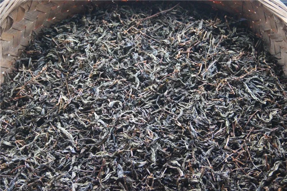 今天这场福清年度重磅文旅盛宴你来了吗?