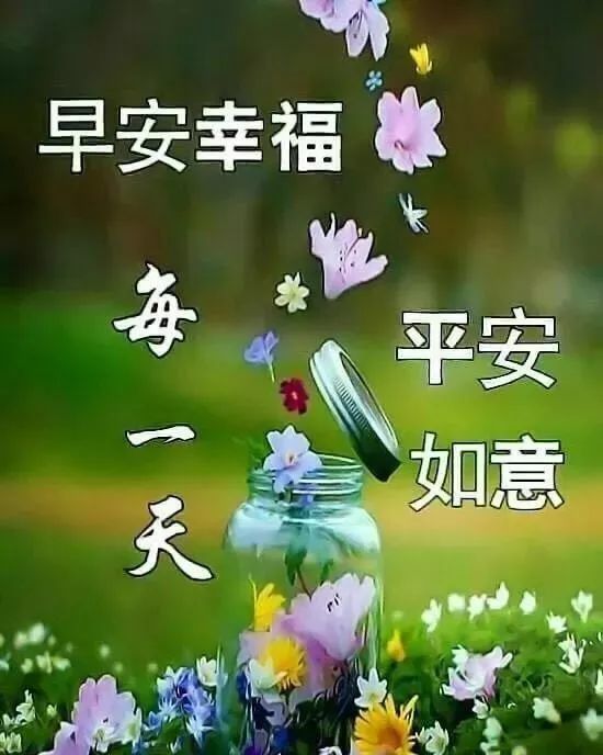 2020最新早安漂亮問候語圖片早上好動態,早晨很美的帶字鮮花美圖送給