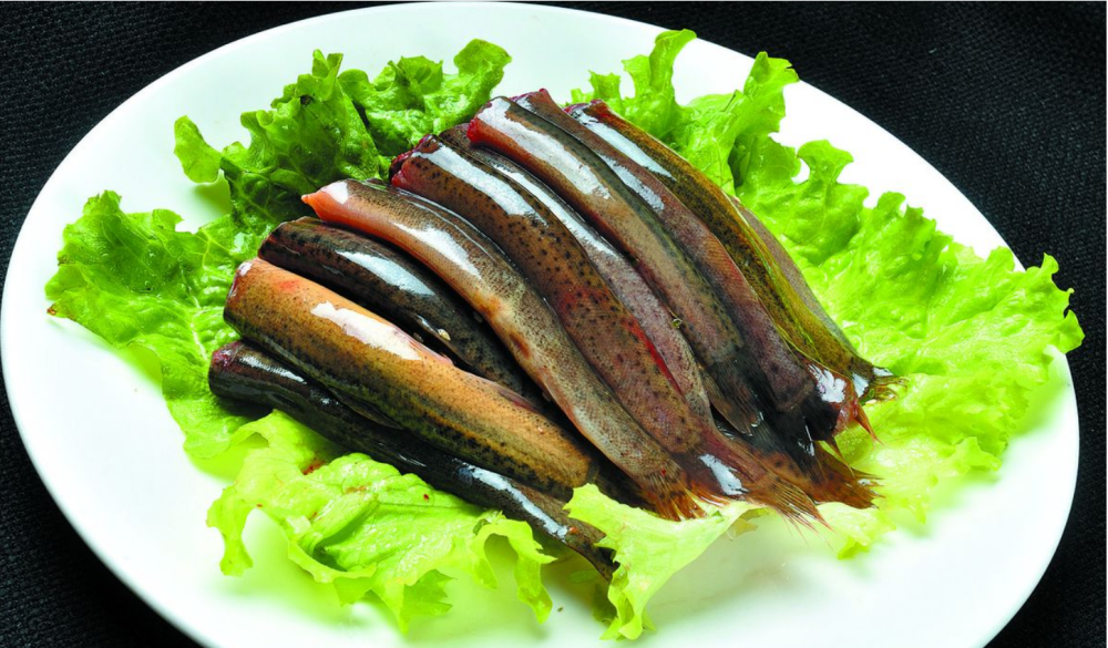 泥鳅多久才熟透,泥鳅多长时间吃一次比较好