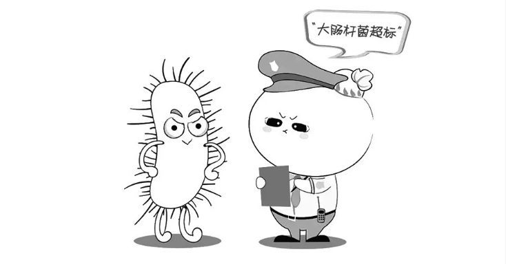 来自大肠杆菌的"伸冤:我在肠道中作用的真相