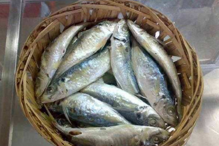 刘伯温去世前,送给朱元璋一筐鱼,为何朱元璋17年后才明白?