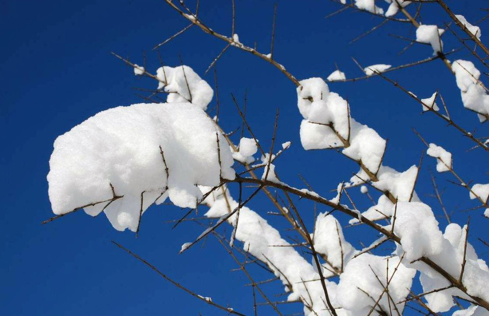 当东北的天空飘落第一片雪花,广东人却还在穿着短袖吹空调