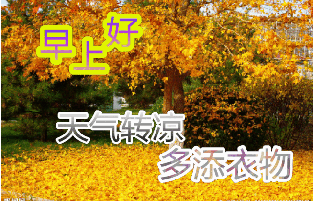 12月22日早安问候每日一祝