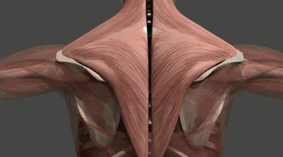 处于更年期的您有颈肩背疼的症状吗如何应对才好呢医生给您讲清楚