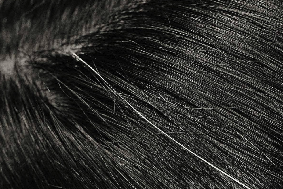 白头发不能拔拔一根会长十根这是真的吗看完终于明白了