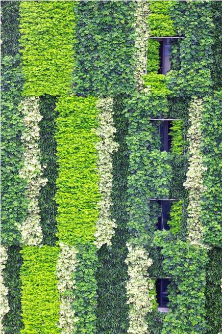 又一旧改成功案例出炉,看垂直绿化如何刷新城市颜值