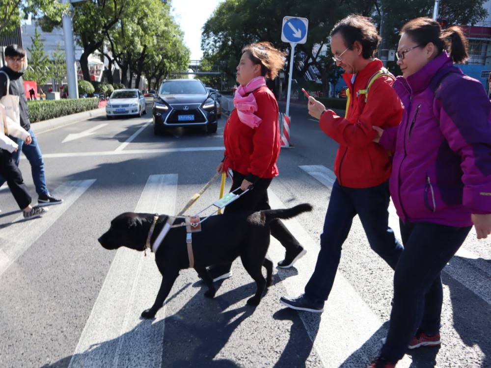 "尽管导盲犬是免费申领,但盲人需自行负担导盲犬日常在食物,防疫,卫生