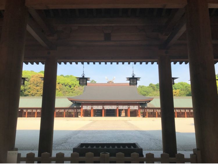 日本文化大科普 神社 大社 神宫 宫究竟有何不同 腾讯新闻