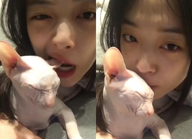 咬猫耳朵被质疑虐猫给火烤鳗鱼配音剪头发渐渐地,所有人对她的印象从"