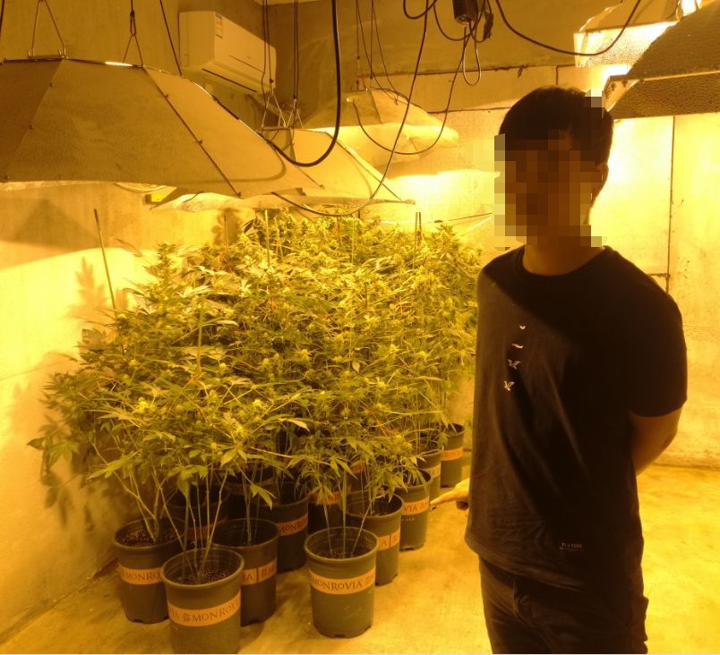 震惊 福州男子租7套房种这植物 警察找上门 腾讯新闻