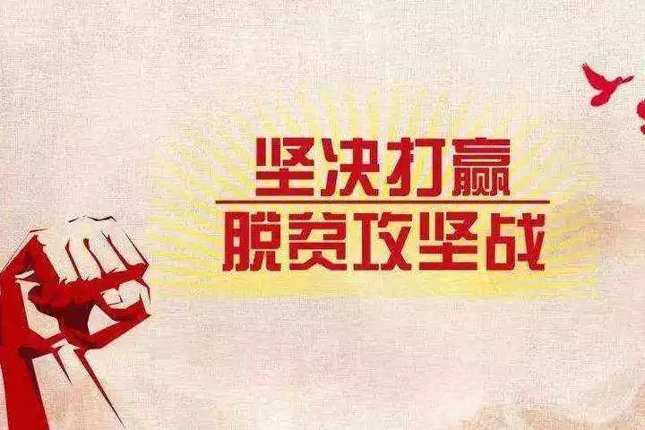 甘肃自制脱贫攻坚题材电影《向阳花又开》