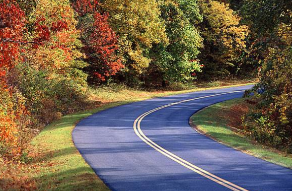 心理测试三条小路哪一条最崎岖测你未来的道路是否更艰难