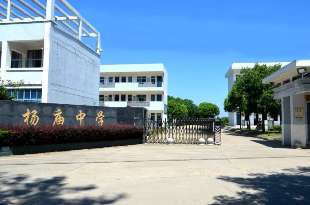 匠心独运 书香校园飘茶香——杨庙中学特色校成长之路之一