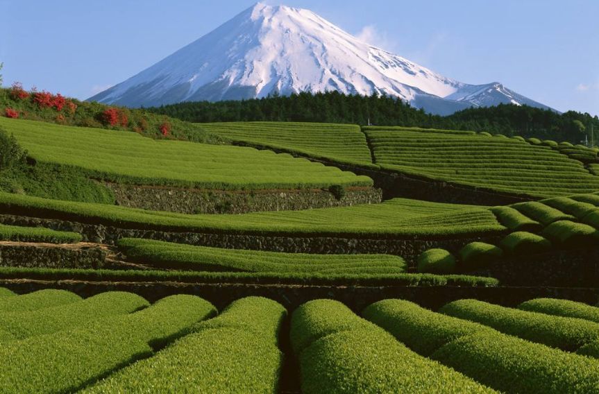 自古以来被誉为灵峰 富士山 腾讯新闻