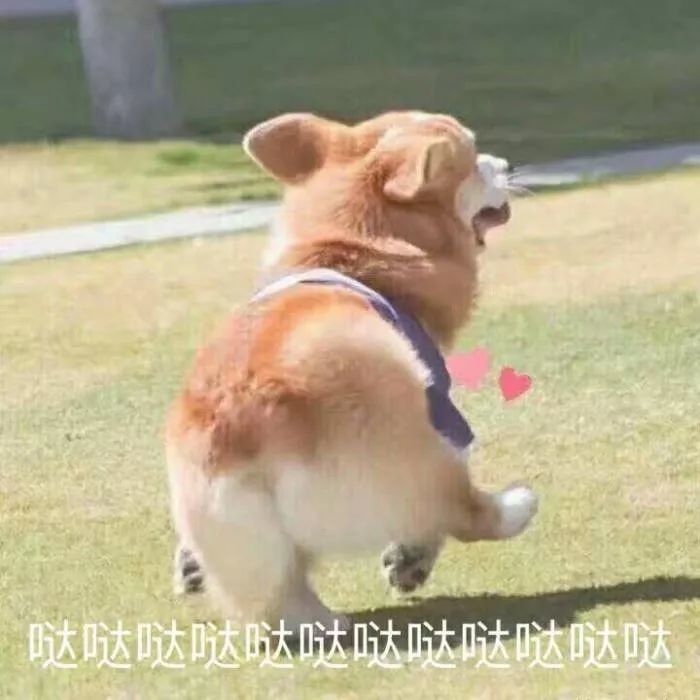 王者荣耀：这些英雄是高端局的宠儿，低端局的弃儿！