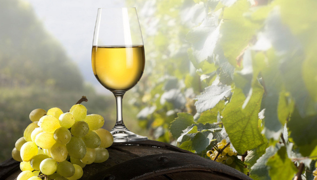 白葡萄酒也需要醒酒吗?