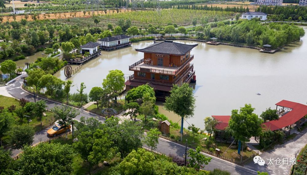 有机水稻比绿色水稻还"绿色" 太仓这里有