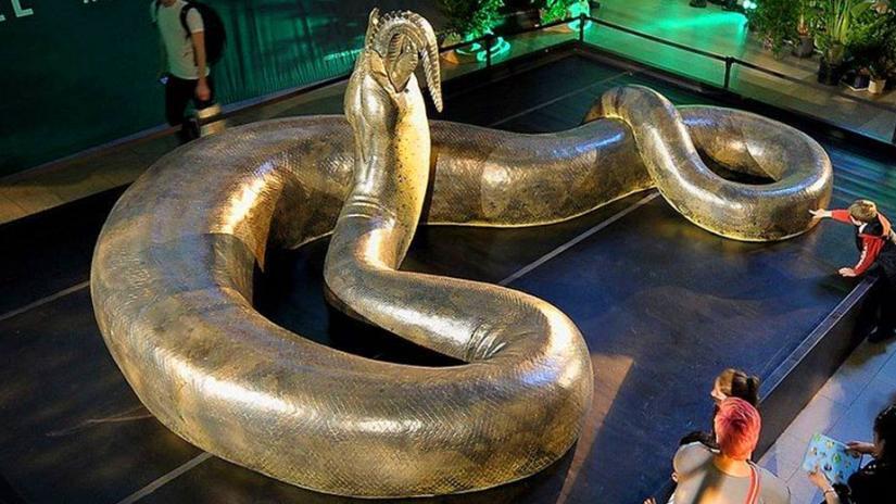 史前巨兽泰坦巨蟒 世界上最大的蛇 可以和恐龙一较高下 腾讯新闻