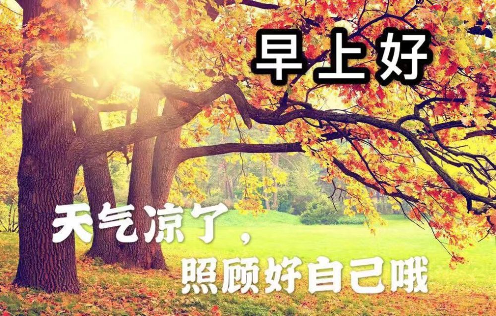 晨光耀眼,陽光青年,為了理想,心向藍天.展現微笑,新的一天.早安!