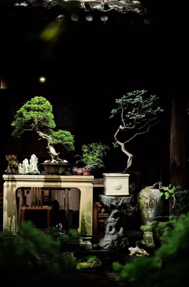 茶席之美文人空间