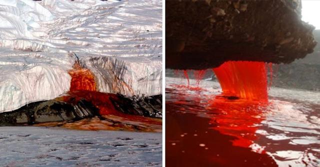 血瀑布是南极洲冰川中的一道奇特的景观,像是从撕裂的伤口中流出的一