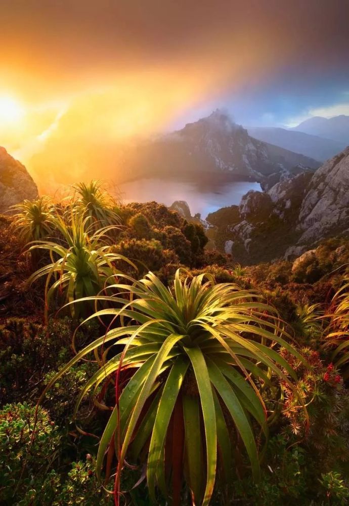 2019年澳大利亚自然地理摄影大赛获奖作品公布