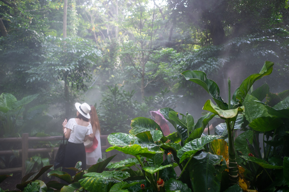 福建第一個植物園,藏有