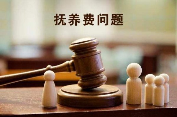 8歲殘疾男童起訴母親不付撫養費,法院當庭判決要承擔