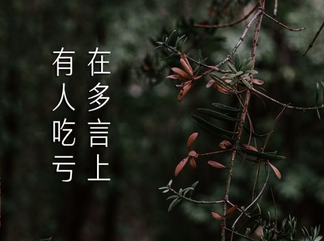 人活一世积口德少言寡语远灾祸