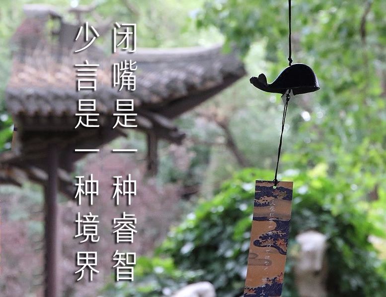 少言是一种境界, 闭嘴是一种睿智, 很多时候, 与其和人争论不休, 惹来