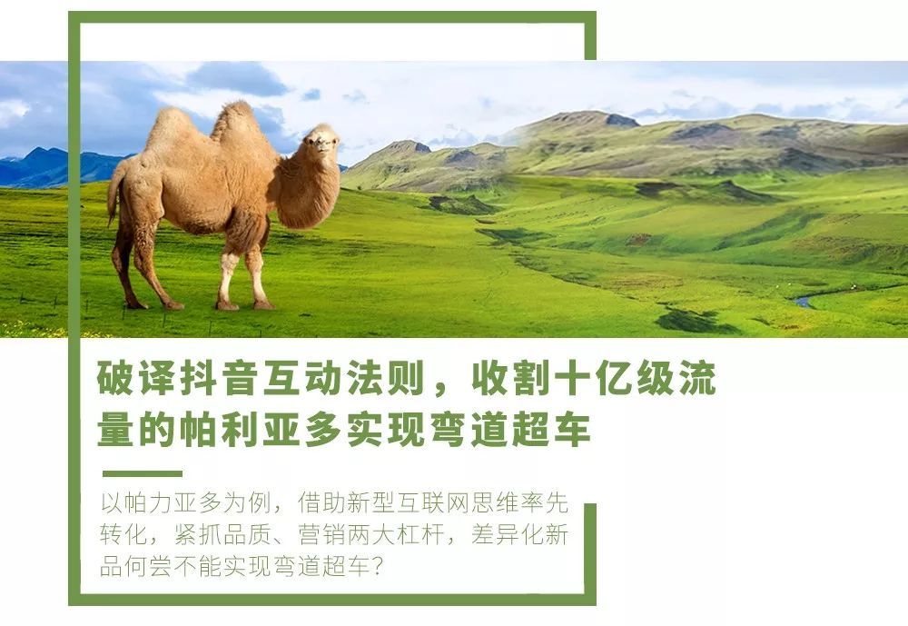 破译抖音互动法则收割十亿级流量的帕利亚多实现弯道超车